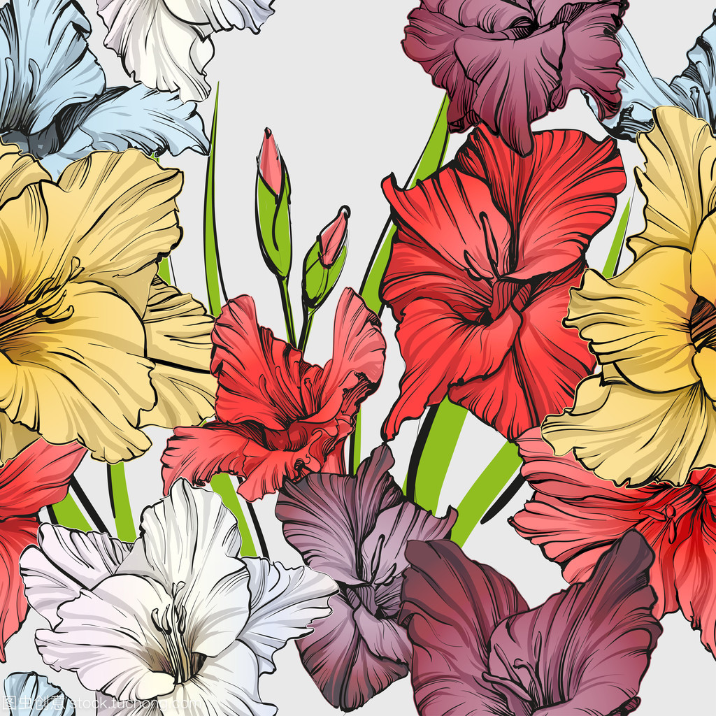 抽象花卉盛开唐菖蒲背景纹理手绘制的矢量插图速写